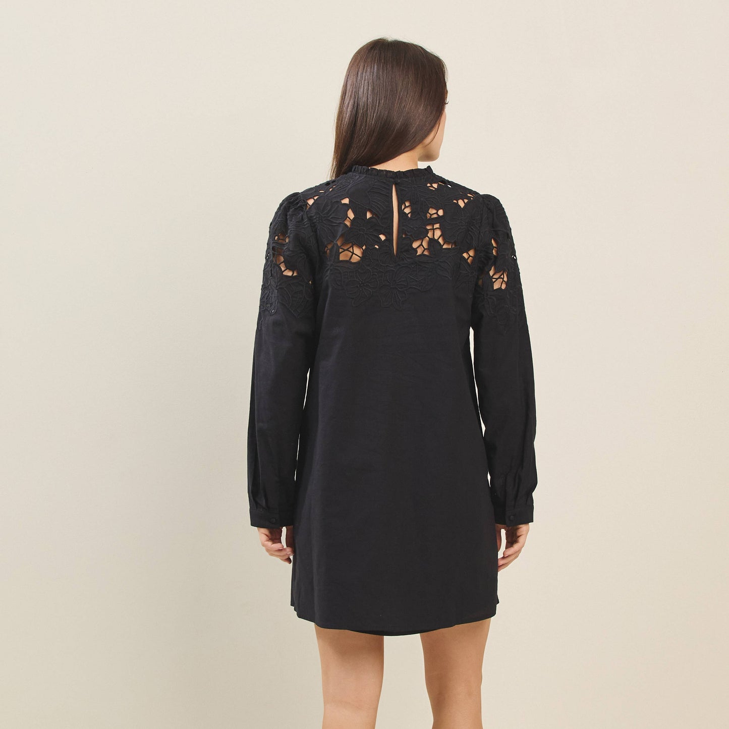 Cutwork Embroidered Mini Dress