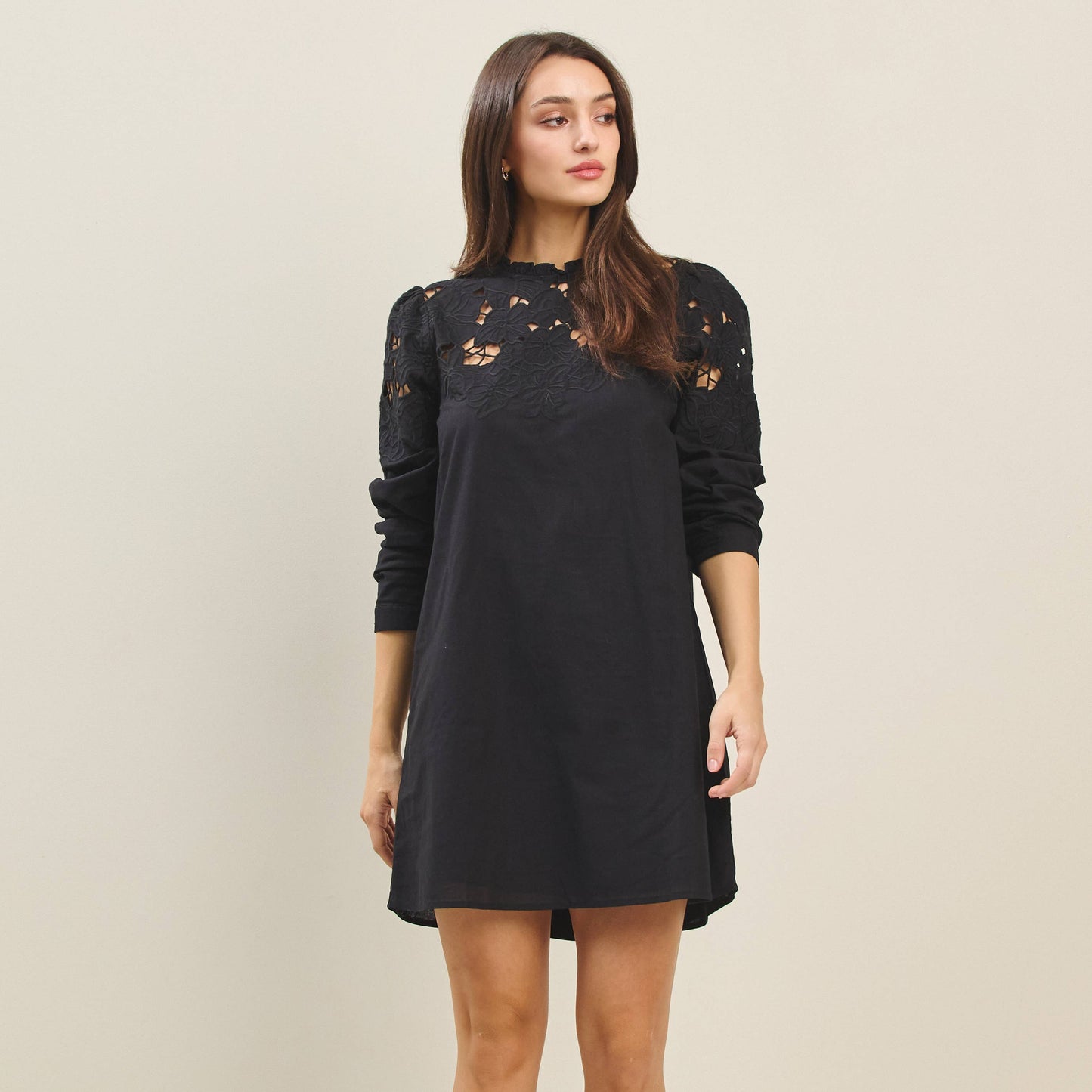 Cutwork Embroidered Mini Dress